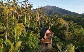 Bali Jungle Cabin